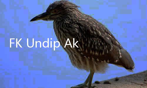 FK Undip Akui Belum Ada Batasan Jam Kerja PPDS, di AS 80 Jam Per Minggu
