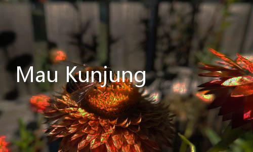 Mau Kunjungi Taiwan? Cek Dulu Syarat Wisatawan Pakai e