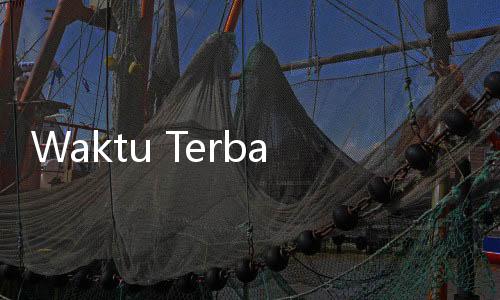 Waktu Terbaik Minum Kopi, Benarkah di Pagi Hari?